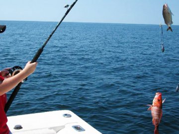 Fishing