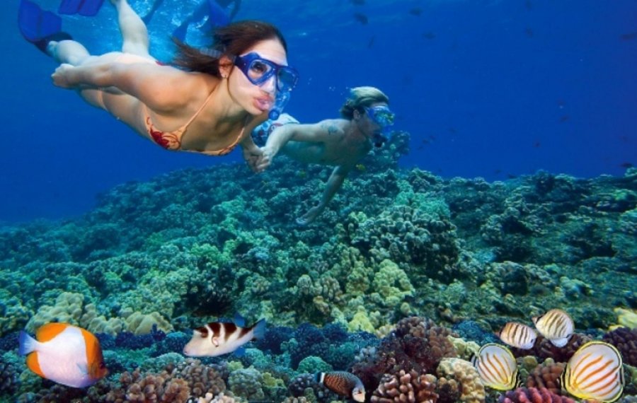Snorkeling