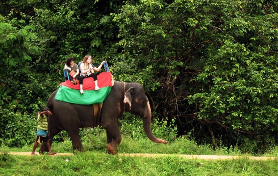 Elephant Back Safari