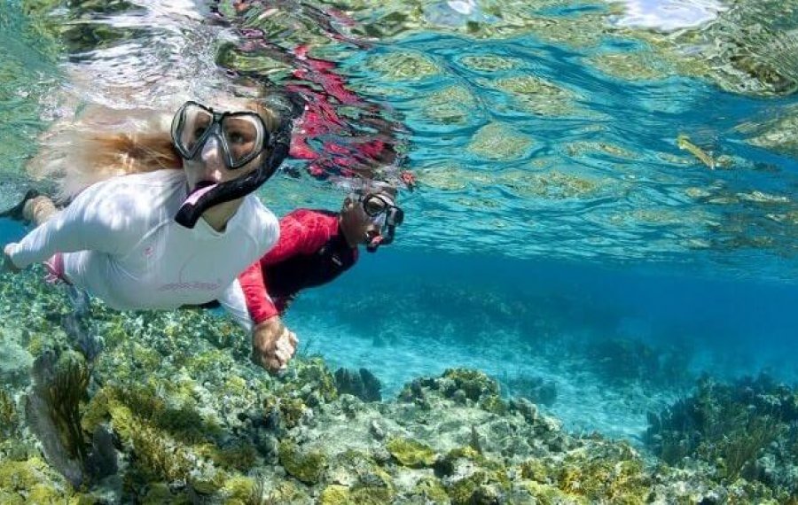 Snorkeling