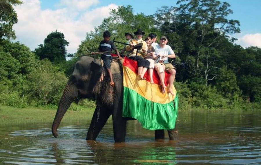 Elephant Back Safari