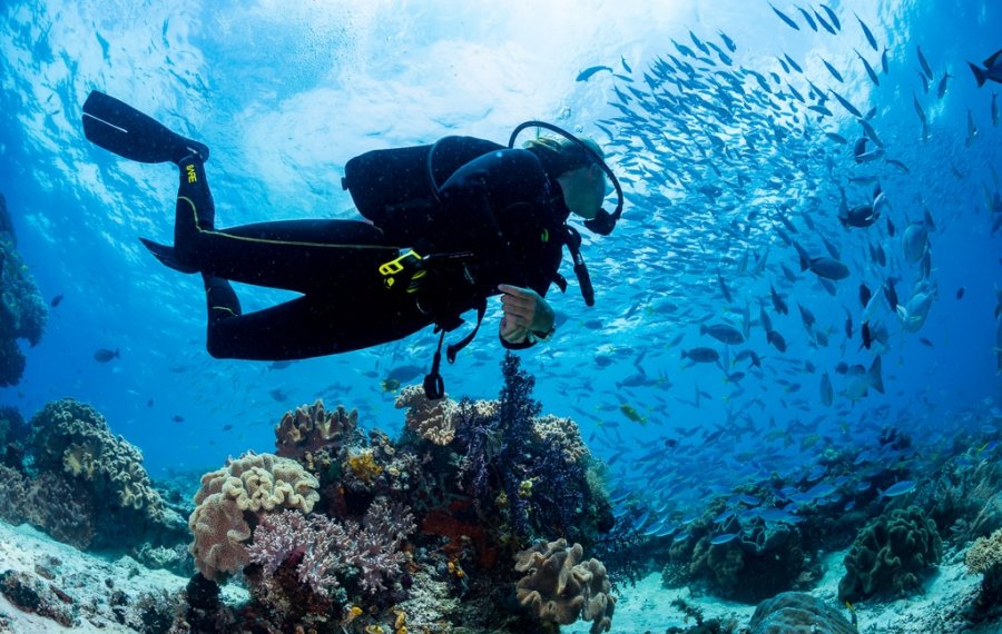 Diving