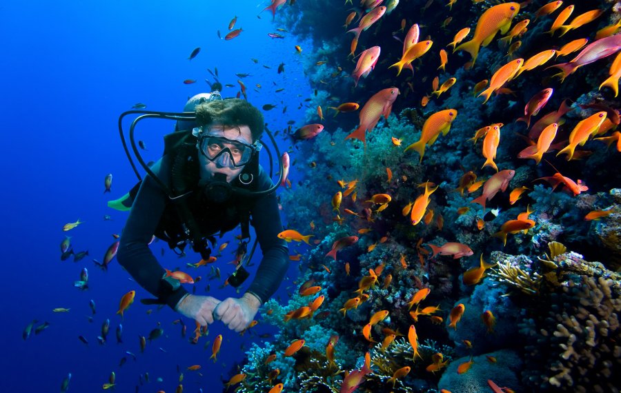 Diving