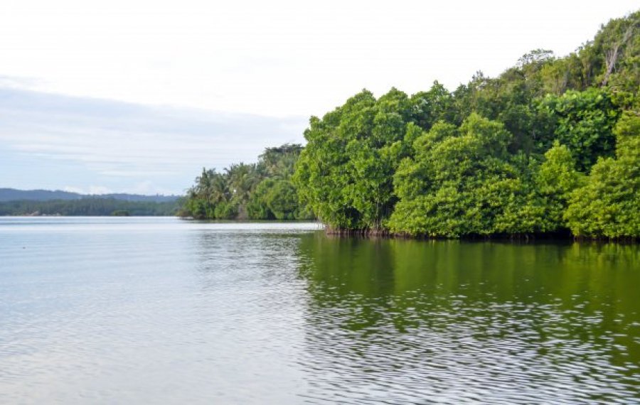 Koggala Lake Safari