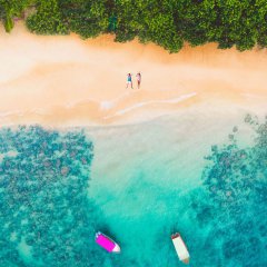 JUNGLE BEACH