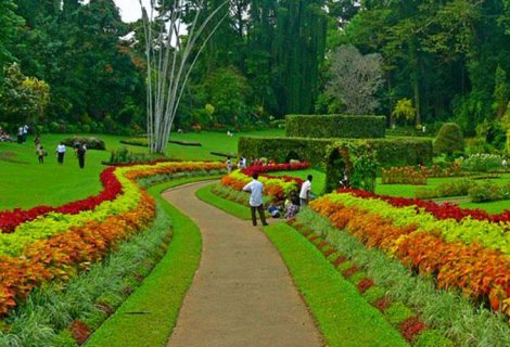 ROYAL BOTANICAL GARDEN 