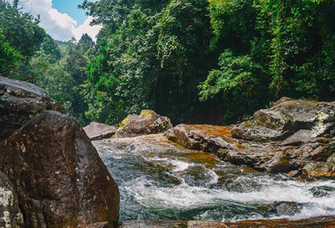 KANNELIYA