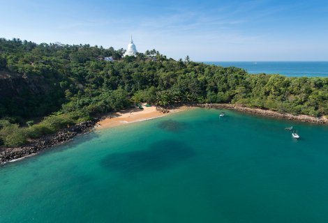 JUNGLE BEACH