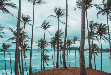 MIRISSA