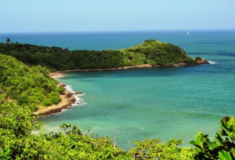 JUNGLE BEACH