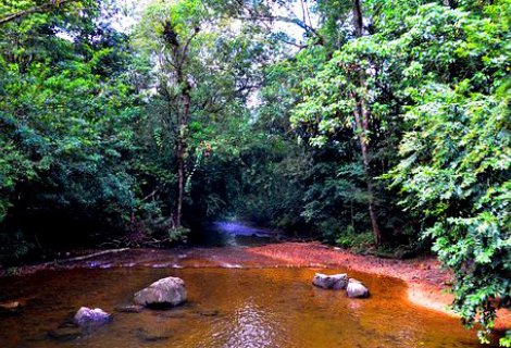 KANNELIYA