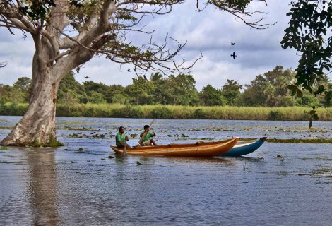 HABARANA