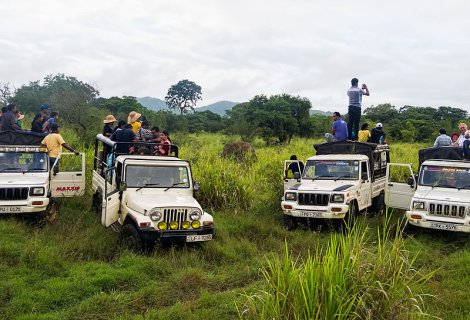 HABARANA