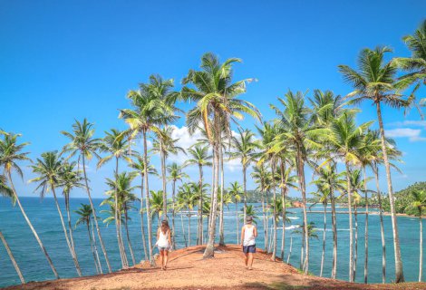 MIRISSA