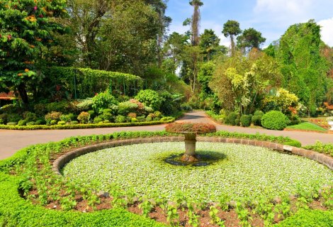 ROYAL BOTANICAL GARDEN 