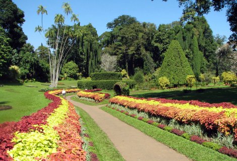 ROYAL BOTANICAL GARDEN 