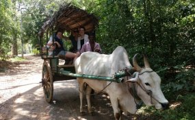 Sri Lanka for holiday