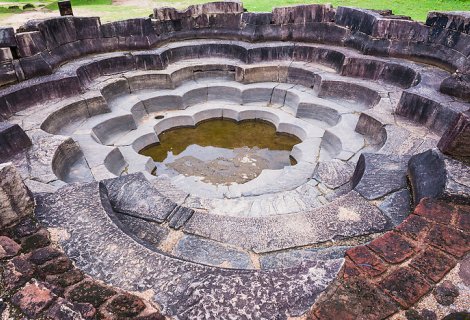 Lotus Bath