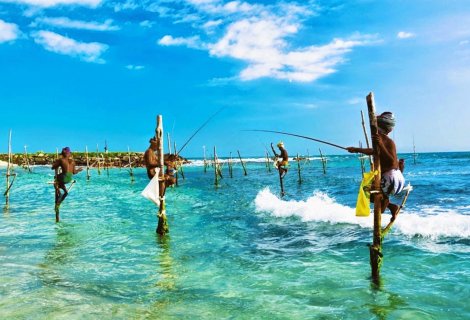 Still Fishing