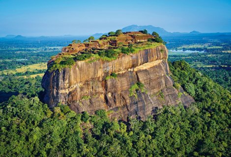Sigiriya Rock Forest