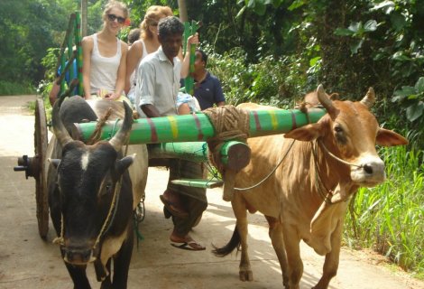 Village Tours 