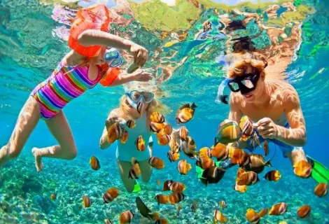 Snorkelling  