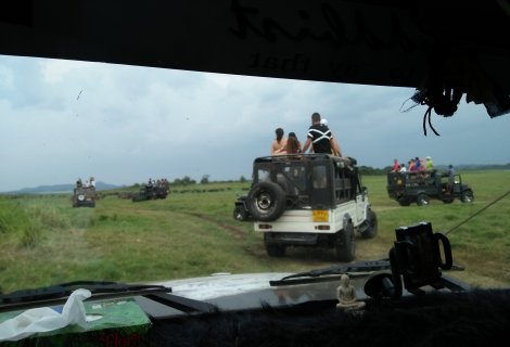Minneriya National Park 