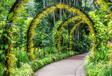 Botanical Garden