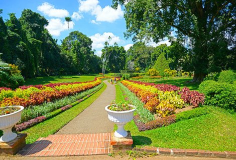 Botanic Garden Peradeniya 