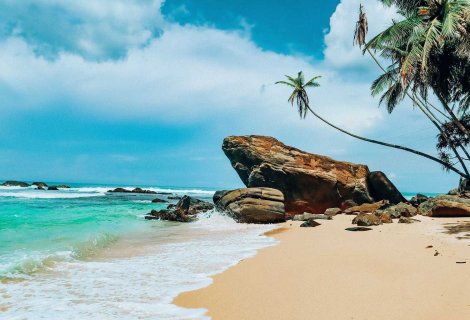 Southern Beach 