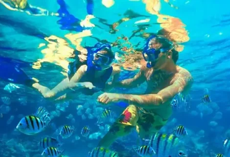 Snorkelling  