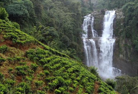 Ramboda waterfall